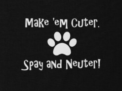 spay your cat