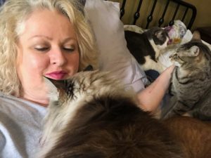 cat behaviorist Rita Reimers